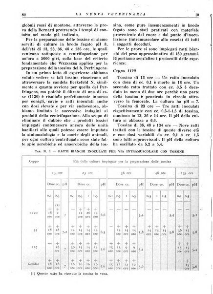 La nuova veterinaria rivista mensile fondata e diretta da Alessandro Lanfranchi