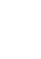 giornale/TO00190245/1908/v.14/00000099