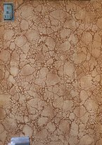 giornale/TO00190251/1919/v.4/00000002