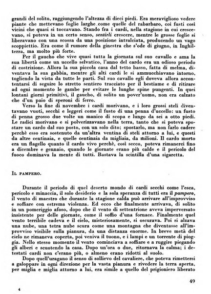 Occidente sintesi dell'attività letteraria nel mondo