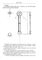 giornale/TO00190418/1920-1921/unico/00000133