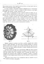 giornale/TO00190418/1920-1921/unico/00000205