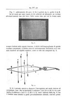 giornale/TO00190418/1920-1921/unico/00000307