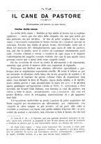 giornale/TO00190418/1922-1923/unico/00000539