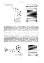 giornale/TO00190418/1924-1925/unico/00000525