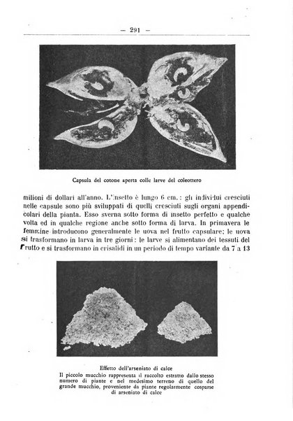 L'operaio rivista d'istruzione tecnica popolare