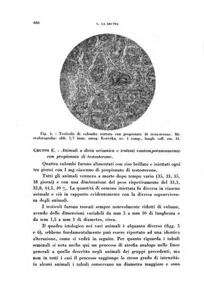 Ormoni dottrina e applicazioni pratiche pubblicate da Nicola Pende e Gennaro Di Macco