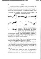 giornale/TO00190526/1943-1944/unico/00000252