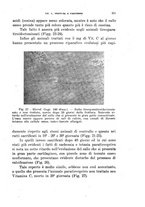 giornale/TO00190526/1943-1944/unico/00000259