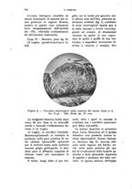 giornale/TO00190526/1943-1944/unico/00000602