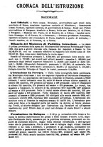 giornale/TO00190564/1881-1882/unico/00000303