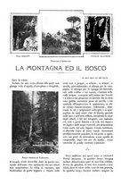 giornale/TO00190779/1912/unico/00000019