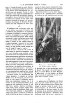 giornale/TO00190779/1912/unico/00000227