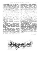 giornale/TO00190779/1912/unico/00000333