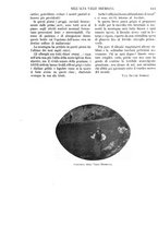 giornale/TO00190779/1912/unico/00000457