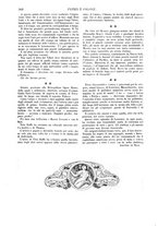 giornale/TO00190779/1912/unico/00000612