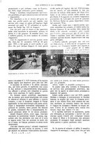 giornale/TO00190781/1913/v.1/00000389