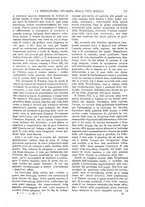 giornale/TO00190781/1914/v.1/00000363