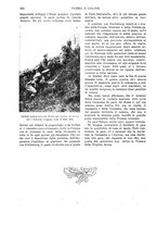 giornale/TO00190781/1914/v.2/00000490