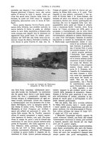 giornale/TO00190781/1915/v.1/00000310