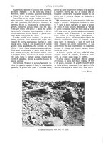 giornale/TO00190781/1915/v.1/00000370