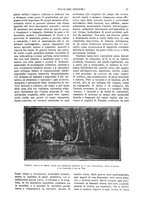 giornale/TO00190781/1915/v.2/00000031