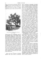 giornale/TO00190781/1915/v.2/00000036