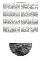 giornale/TO00190781/1915/v.2/00000099