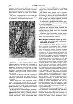 giornale/TO00190781/1915/v.2/00000188