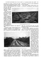 giornale/TO00190781/1915/v.2/00000201