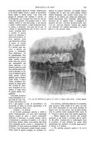 giornale/TO00190781/1915/v.2/00000371