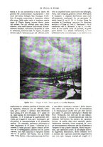 giornale/TO00190781/1915/v.2/00000467