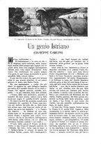 giornale/TO00190781/1916/v.1/00000387