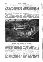 giornale/TO00190781/1916/v.1/00000466