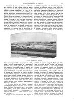 giornale/TO00190781/1916/v.2/00000017