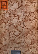 giornale/TO00190801/1913/unico/00000002