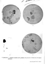 giornale/TO00190801/1914/unico/00000067