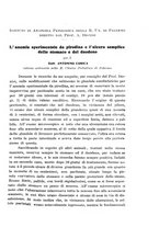 giornale/TO00190801/1915/unico/00000165