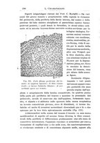 giornale/TO00190801/1915/unico/00000240