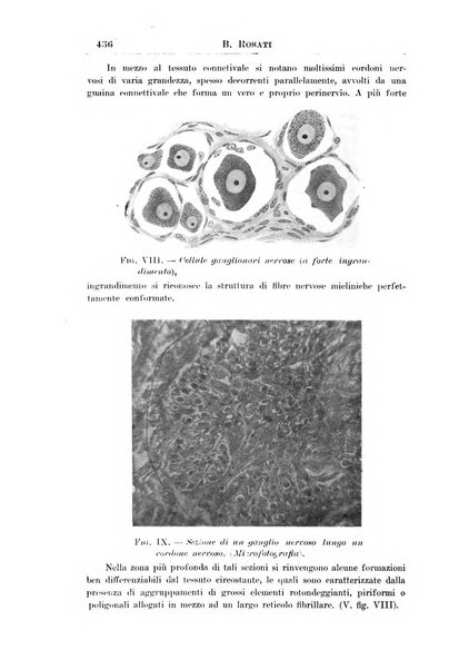 La pediatria periodico mensile indirizzato al progresso degli studi sulle malattie dei bambini