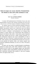 giornale/TO00190801/1918/unico/00000013