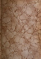 giornale/TO00190801/1920/unico/00000003