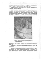 giornale/TO00190801/1920/unico/00000096