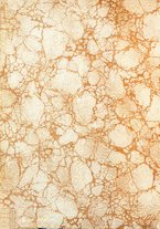 giornale/TO00190801/1921/unico/00000002