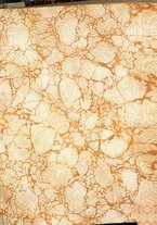 giornale/TO00190801/1921/unico/00000003