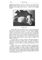 giornale/TO00190801/1921/unico/00000244