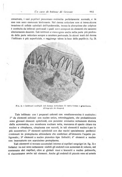 La pediatria periodico mensile indirizzato al progresso degli studi sulle malattie dei bambini