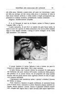 giornale/TO00190801/1930/unico/00000021