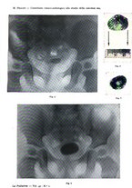 giornale/TO00190801/1934/V.1/00000069