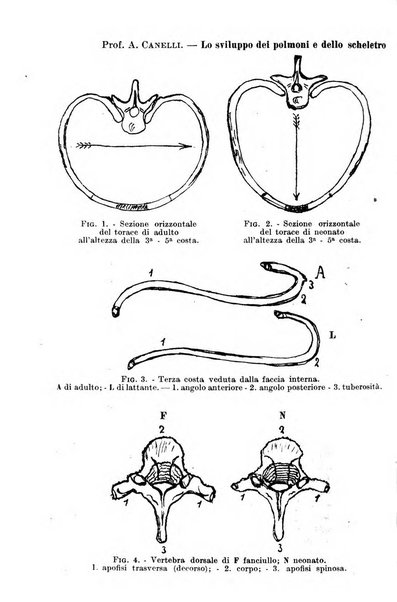 La pediatria del medico pratico